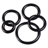 10,1 X 1,6 O-RENGAS PTFE